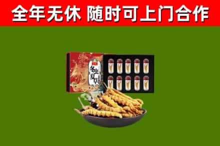 南川烟酒回收冬虫夏草礼盒.jpg